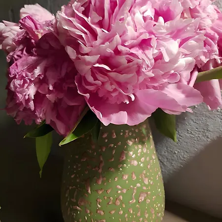 Frühstückspension La Kimono